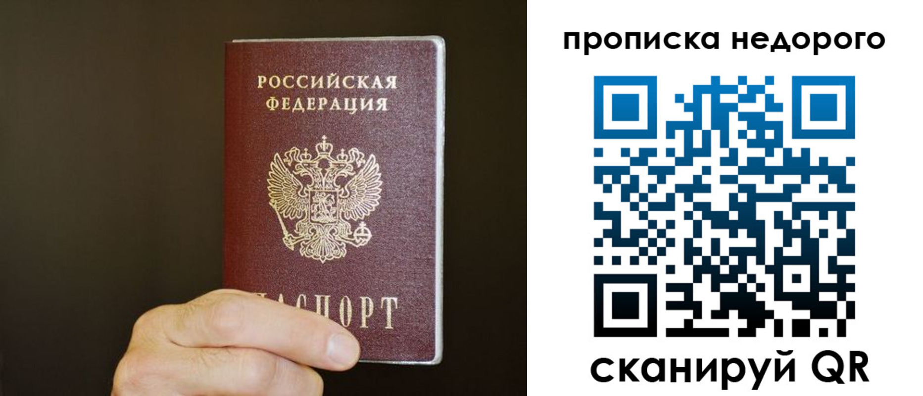 прописка в квартире в Вязьме